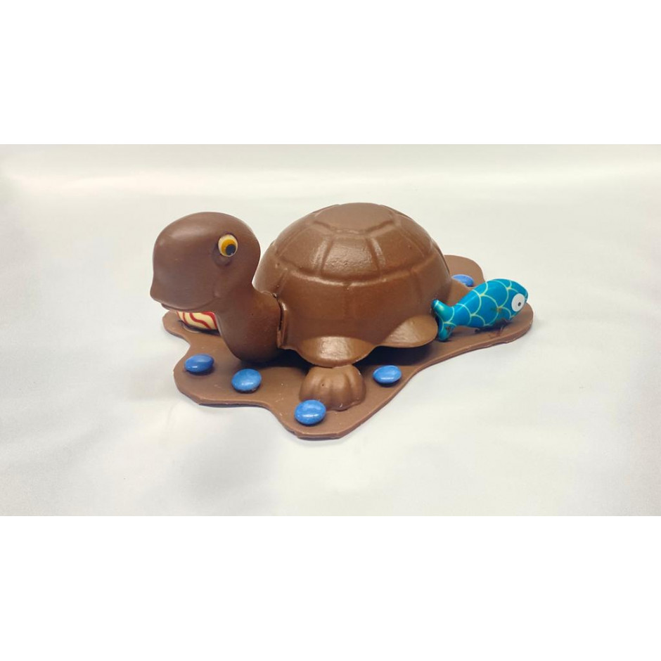 Mona de Pascua - Tortuga